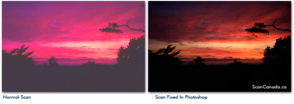 fix color negative scan photoshop