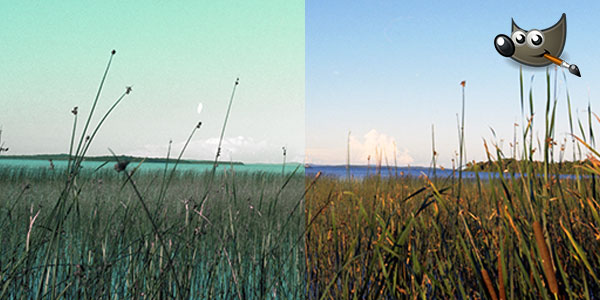Free tips on how to fix negative scan colour using GIMP